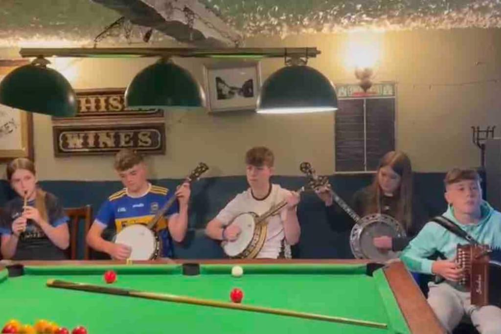 Willa Tom Rocky'S Farmyard Templemore Zewnętrze zdjęcie